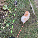 Dual Retractable Dog Leash with Light