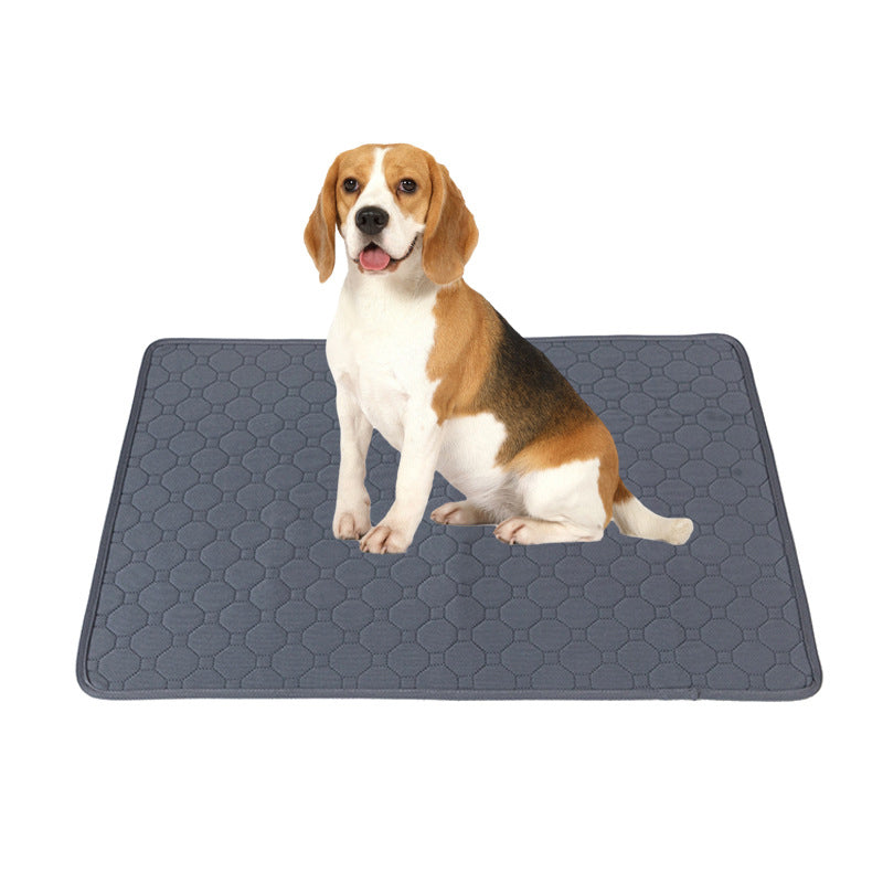 Reusable Washable Dog Training Pad — product image 2 of 11