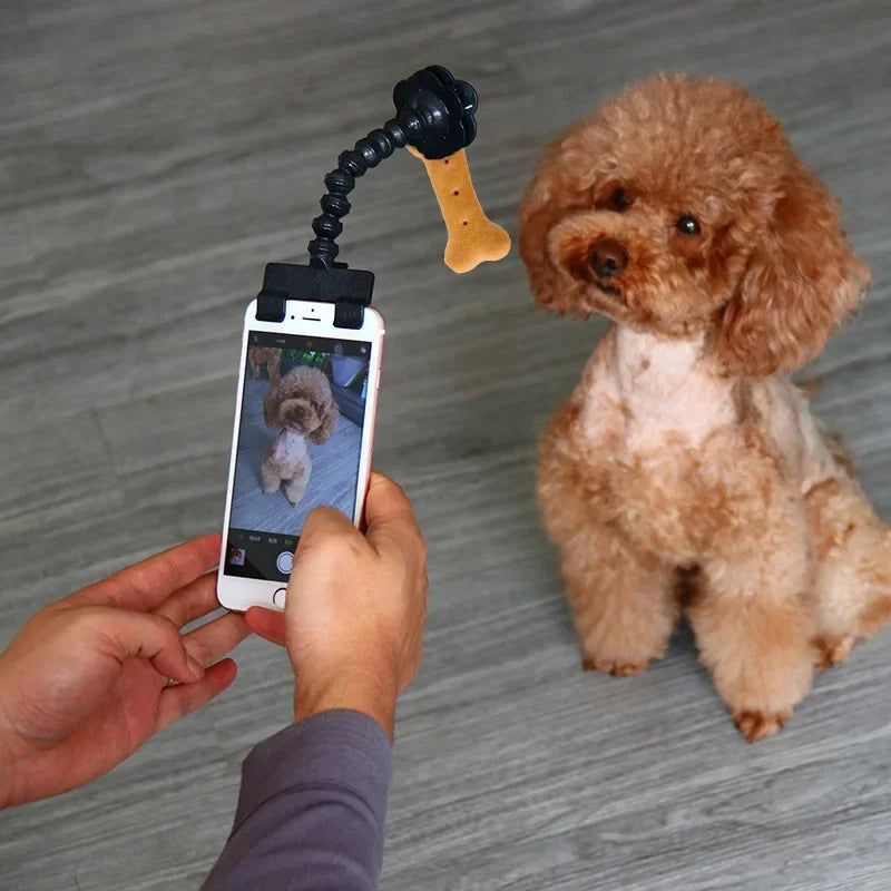Pet selfie phone clip holding a treat or toy