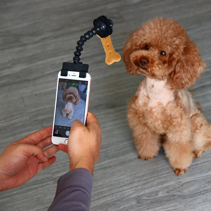 Pet selfie phone clip holding a treat or toy