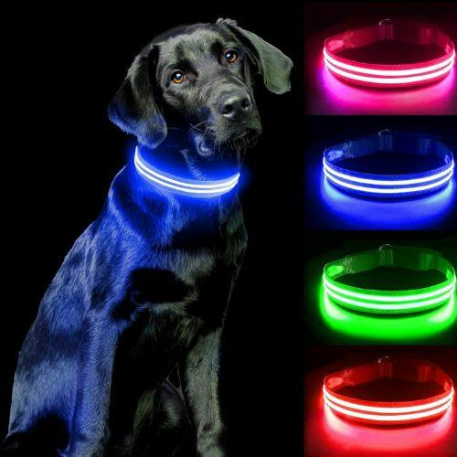 USB-Rechargeable LED Dog Collar — product image 2