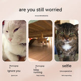 Pet Selfie Phone Clip for Treats & Toys