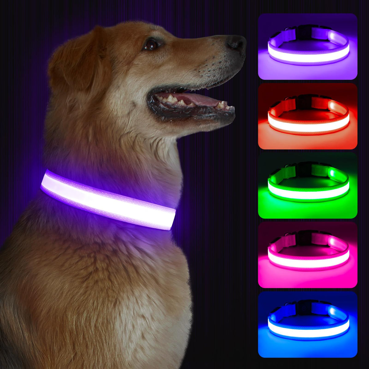 USB-Rechargeable LED Dog Collar