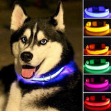 USB-Rechargeable LED Dog Collar — product image 3